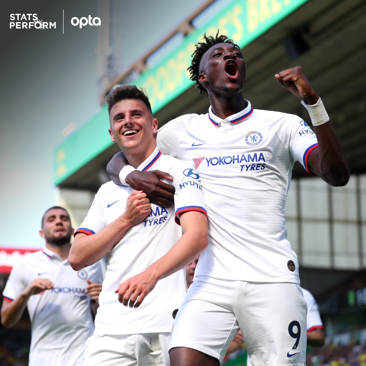 甲这样的顶 甲这样的顶